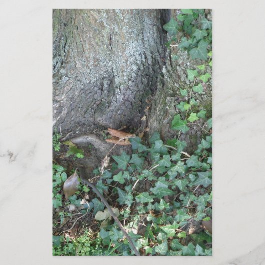 Boomstam en vijver in het bos briefpapier (Voorkant)