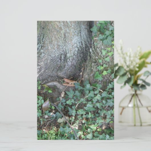 Boomstam en vijver in het bos briefpapier (Staand voorkant)