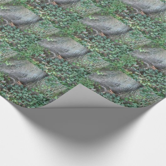 Boomstam en vijver in het bos cadeaupapier (Hoek)