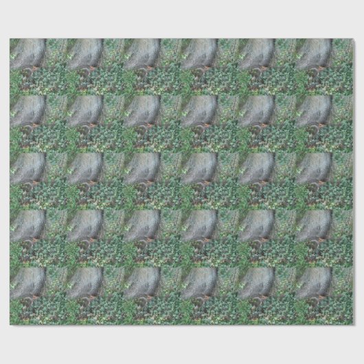 Boomstam en vijver in het bos cadeaupapier (Vlak)