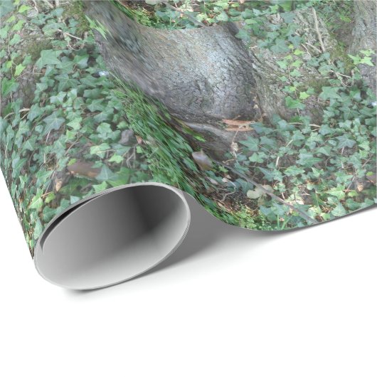 Boomstam en vijver in het bos cadeaupapier (Rol Hoek)