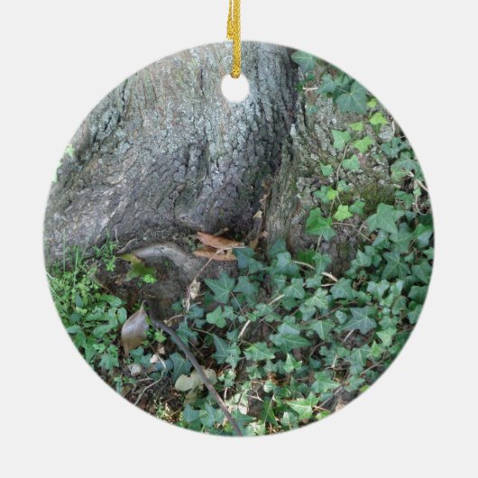 Boomstam en vijver in het bos keramisch ornament (Achterkant)