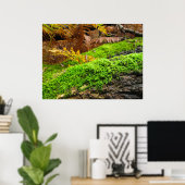 Boomstam in herfstmos - Gepersonaliseerd Poster (Thuiskantoor)
