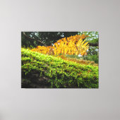 Boomstam in weelderig mos - canvas afdruk (Voorkant)
