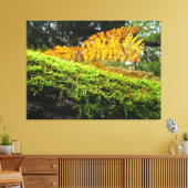 Boomstam in weelderig mos - canvas afdruk (Insitu (Woonkamer))