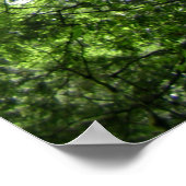 Boomstam/Lalashan National Forest Sanctuary Poster (Hoek)