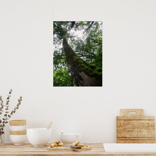 Boomstam/Lalashan National Forest Sanctuary Poster (Keuken)