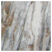 Boomstam Stof (Close Up)