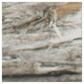 boomstam stof (Close Up)