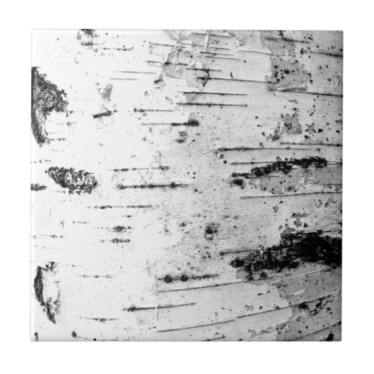 boomstam tegeltje (Voorkant)