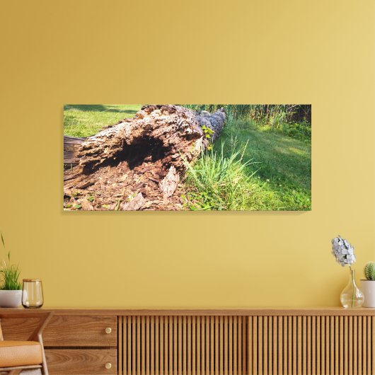 boomstam verbrijzeld canvas afdruk (Insitu (Woonkamer))