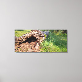 boomstam verbrijzeld canvas afdruk