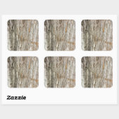 boomstam vierkante sticker (Vel)