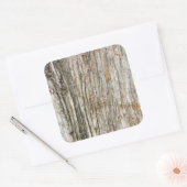 boomstam vierkante sticker (Envelop)
