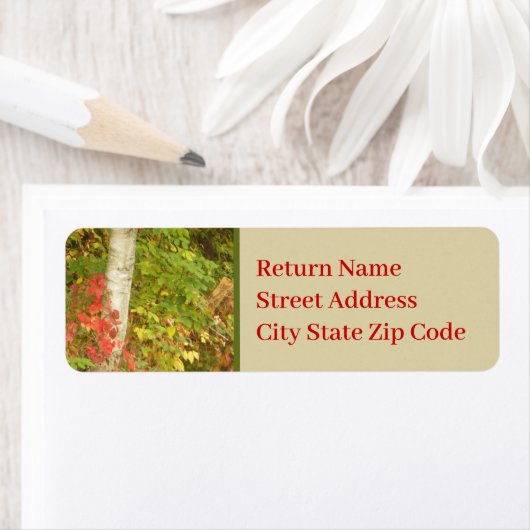 boomstamboom etiket (Insitu)