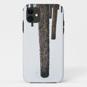 Boomstammen in de sneeuw Case-Mate iPhone case