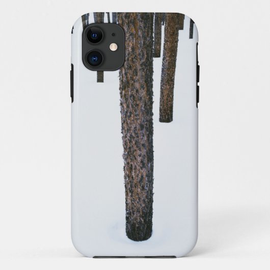 Boomstammen in de sneeuw Case-Mate iPhone case (Achterkant)