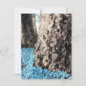 boomstammen kaart (Voorkant)