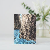 boomstammen kaart (Staand voorkant)