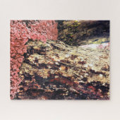 boomstammen legpuzzel (Horizontaal)