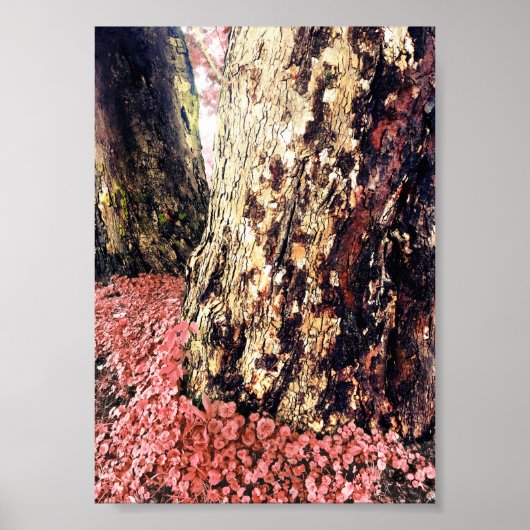 boomstammen poster (Voorkant)