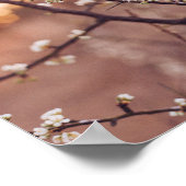 boomstammen vertakken wegpad liefde hart poster (Hoek)