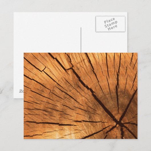 boomstamringen briefkaart (Voorkant / Achterkant)