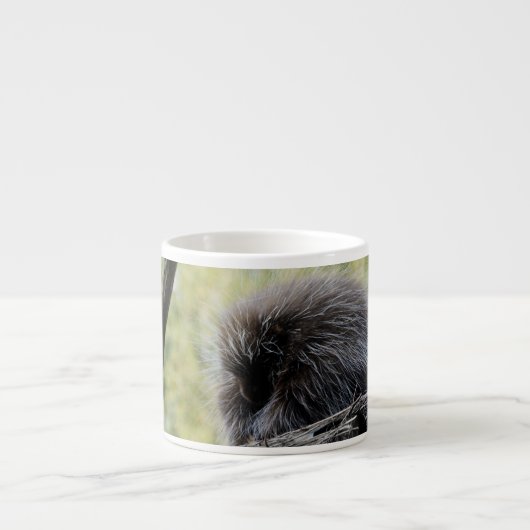 Boomstekelvarken Espresso Kop (Voorkant)