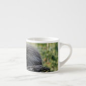 Boomstekelvarken Espresso Kop (Rechts)