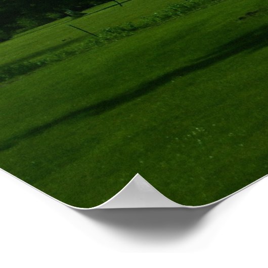 Boomstructuur in het Poster van het Gebied & van h (Hoek)