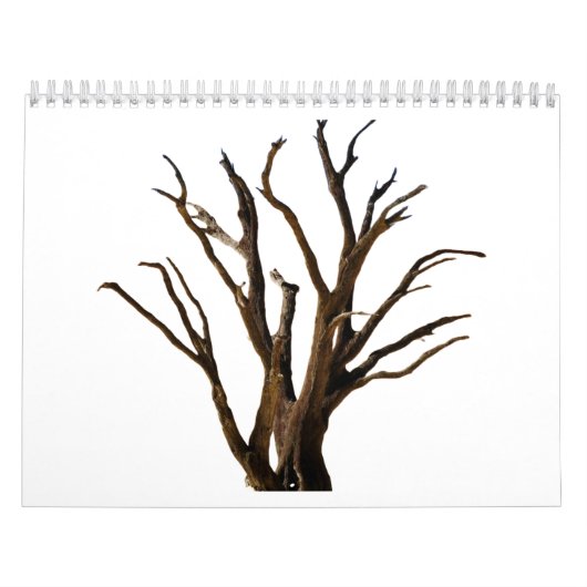 boomstructuur kalender (Hoes)