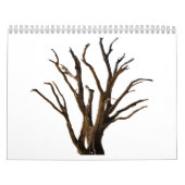 boomstructuur kalender (Hoes)