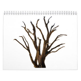 boomstructuur kalender