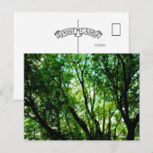 Boomstructuur topjes briefkaart (Voorkant / Achterkant)