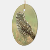 Boomstruik Keramisch Ornament (Links)