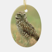 Boomstruik Keramisch Ornament (Achterkant)