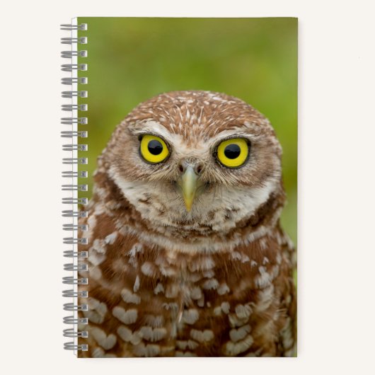 Boomstruik Notitieboek (Voorkant)