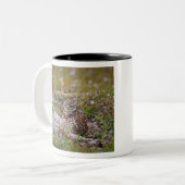 Boomstruik Tweekleurige Koffiemok (Voorkant links)