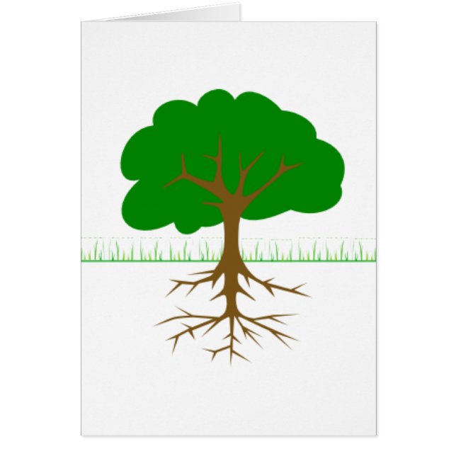 boomtakken en -wortels (Voorkant)