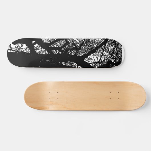 Boomtakken op hout II Skateboard (Horizontaal)