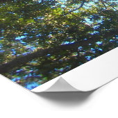 boomtakken poster (Hoek)