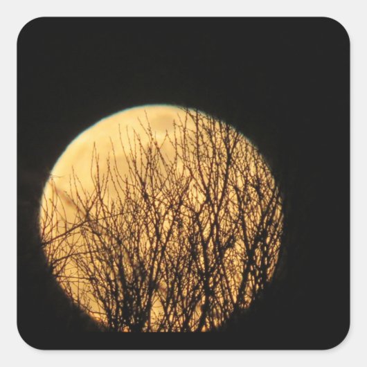 Boomtakken voor Spooky Halloween Moon Vierkante Sticker (Voorkant)