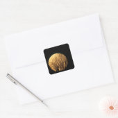 Boomtakken voor Spooky Halloween Moon Vierkante Sticker (Envelop)