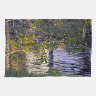 boomtakken, zonlicht, reflectie theedoek