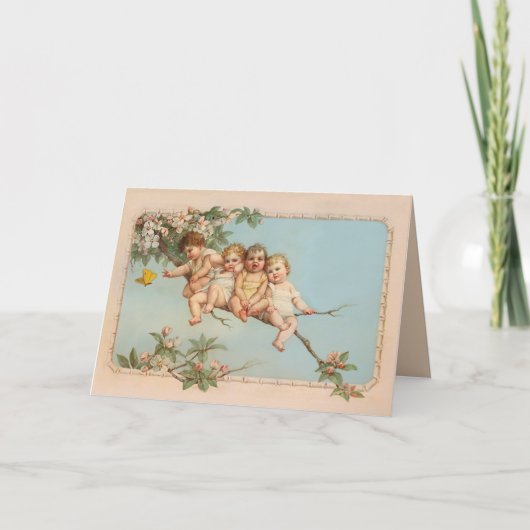 Boomtopbaby's Kaart (Voorkant)