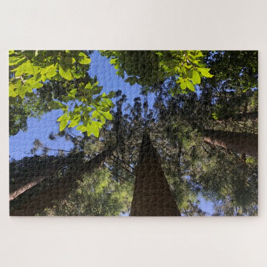 boomtopbladeren legpuzzel (Horizontaal)