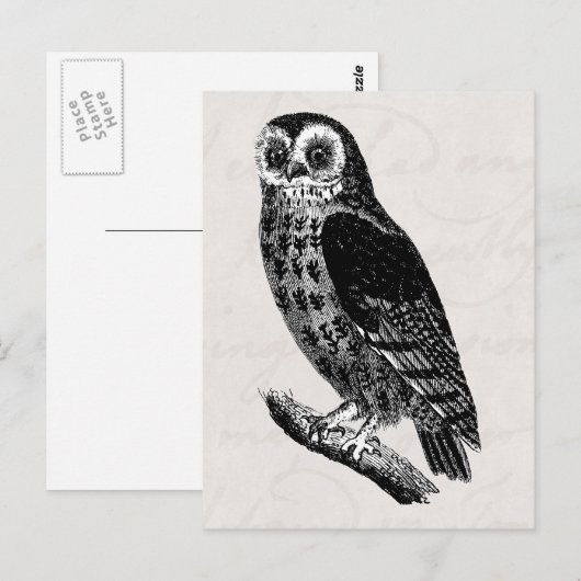  boomtrekvogels eigenaar briefkaart (Voorkant / Achterkant)