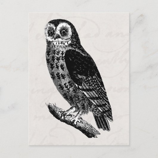  boomtrekvogels eigenaar briefkaart (Voorkant)