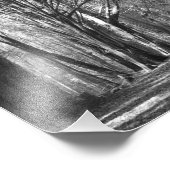 boomtunnel foto afdruk (Hoek)