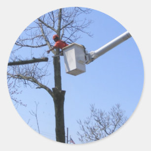 Boomverwijdering ~ sticker